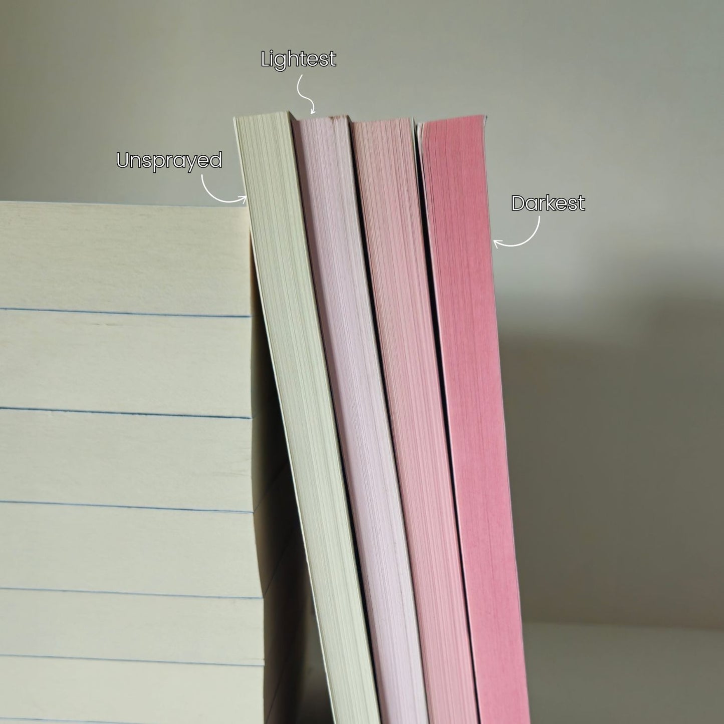 Never Less Signed Paperback