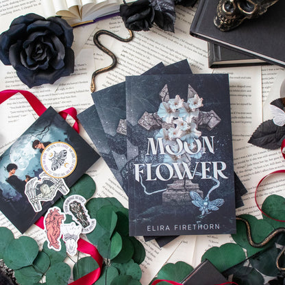 Spicy Novella Bundle