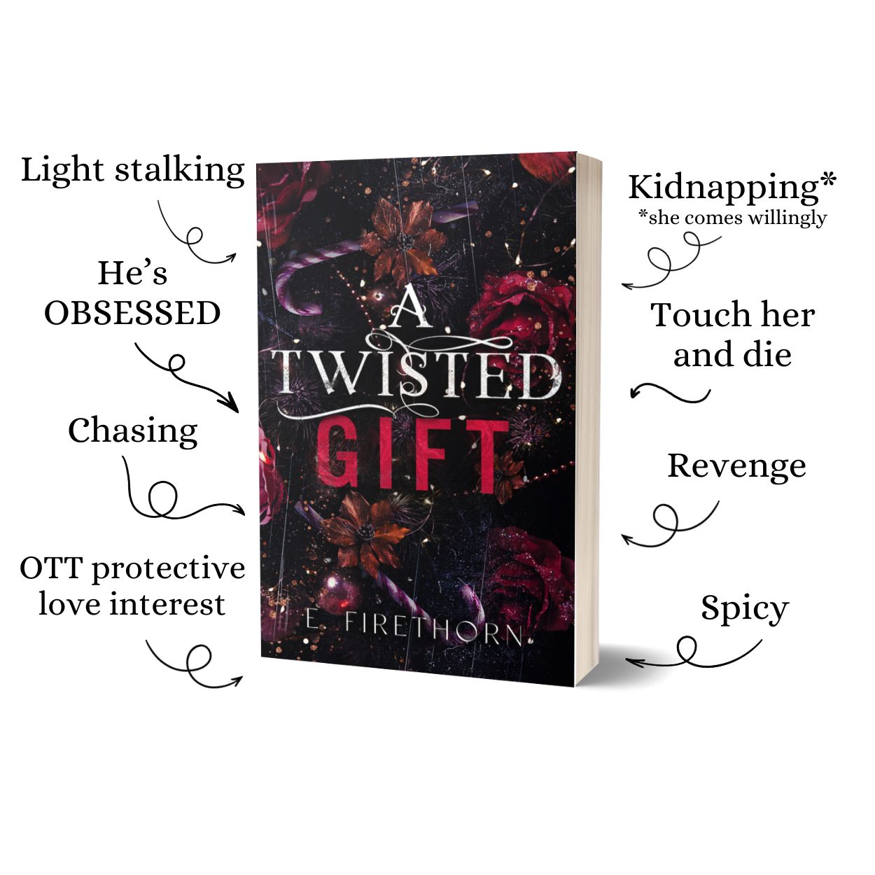 Spicy Novella Bundle