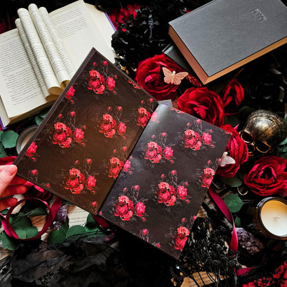 Special Edition 2-Volume Set: Ruthless Desires Series