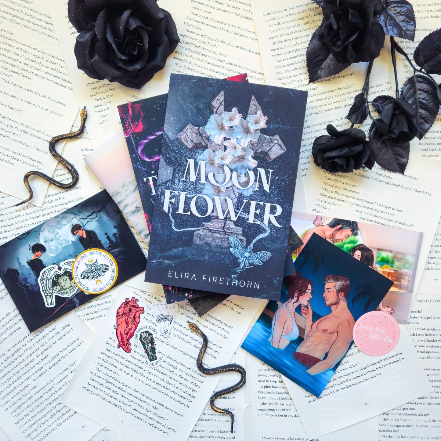 Spicy Novella Bundle